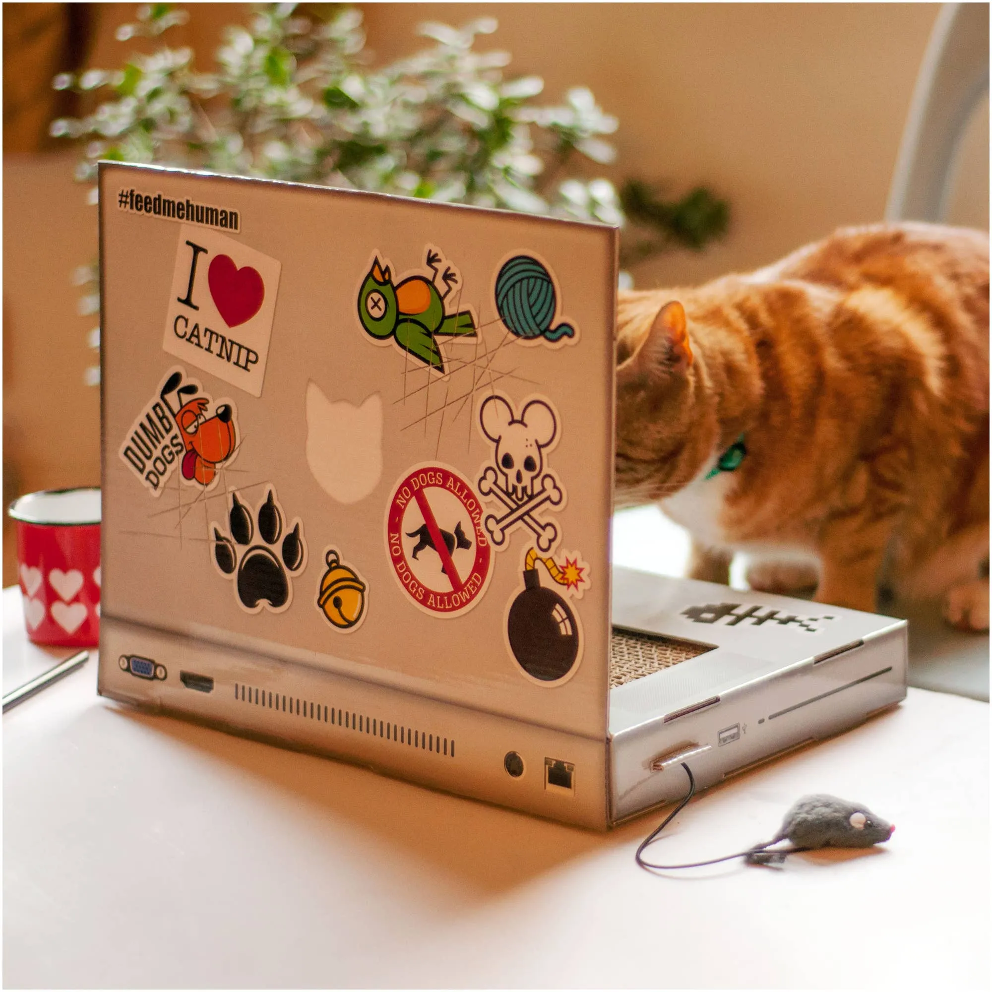 Cat Laptop Scratch Pad