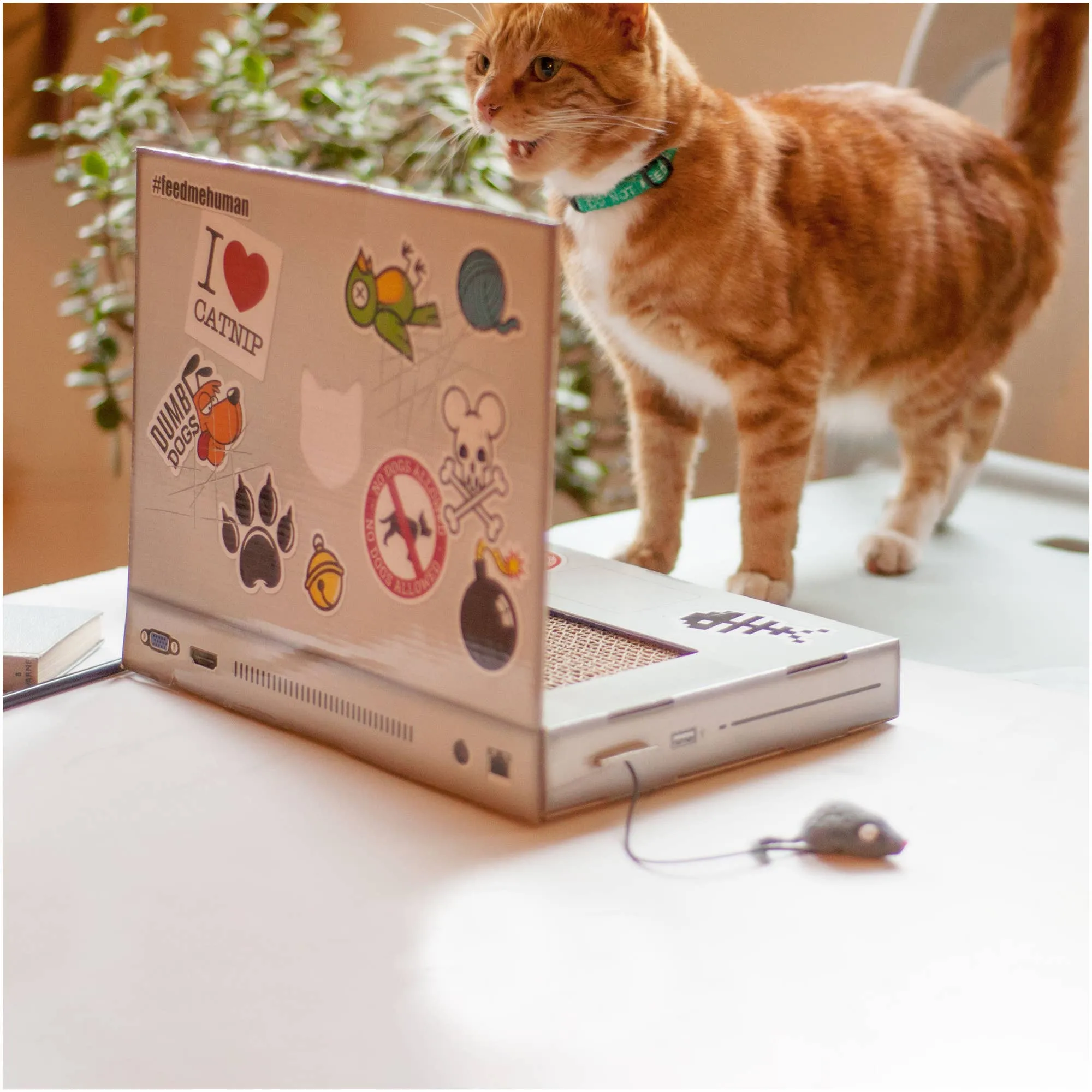 Cat Laptop Scratch Pad