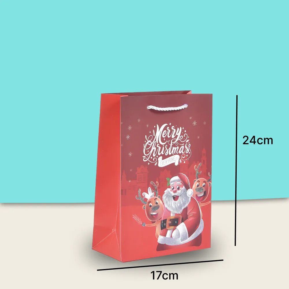 Merry Christmas Stylish Paper Bag For Gifting