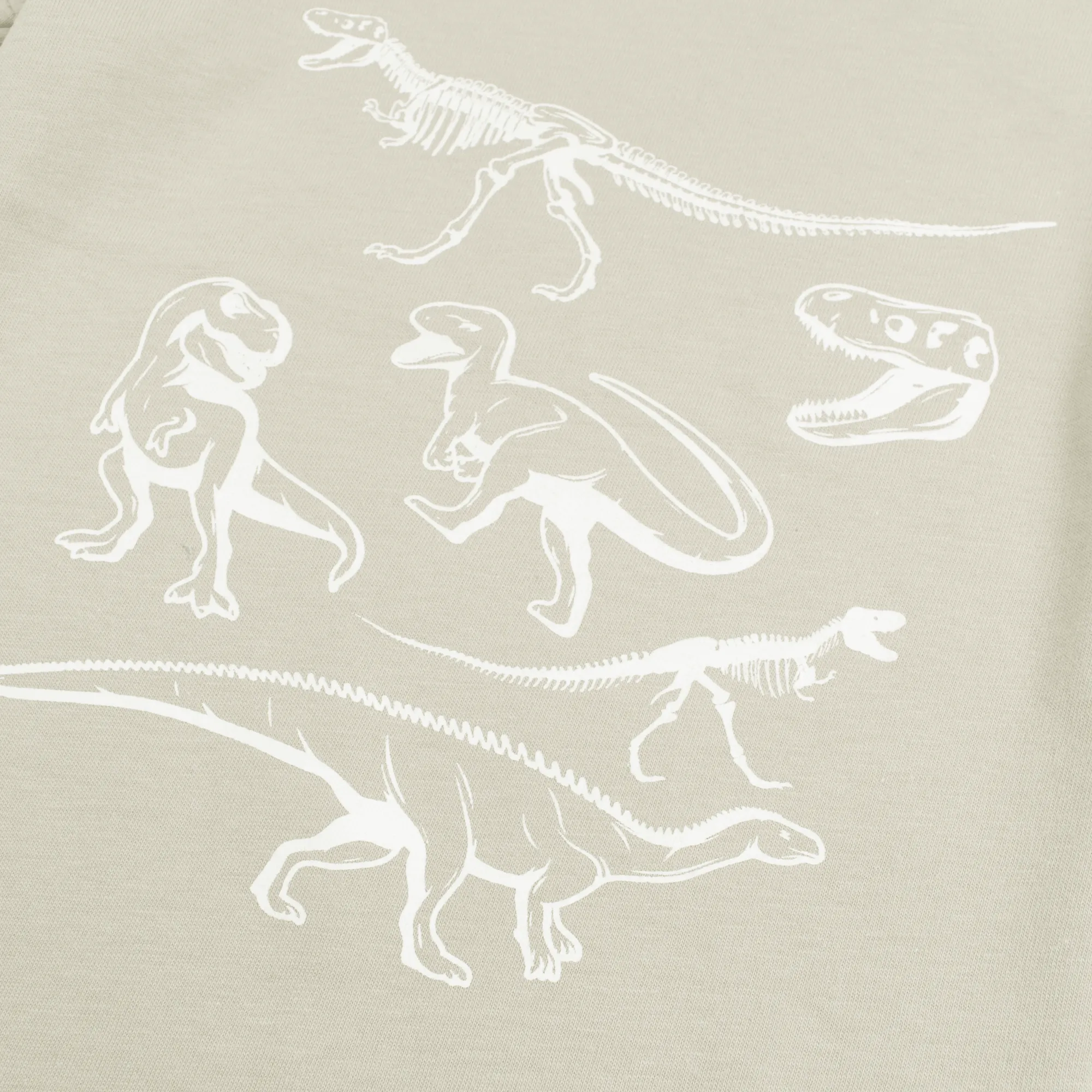 MINI BOY'S DINO PRINTED T-SHIRT