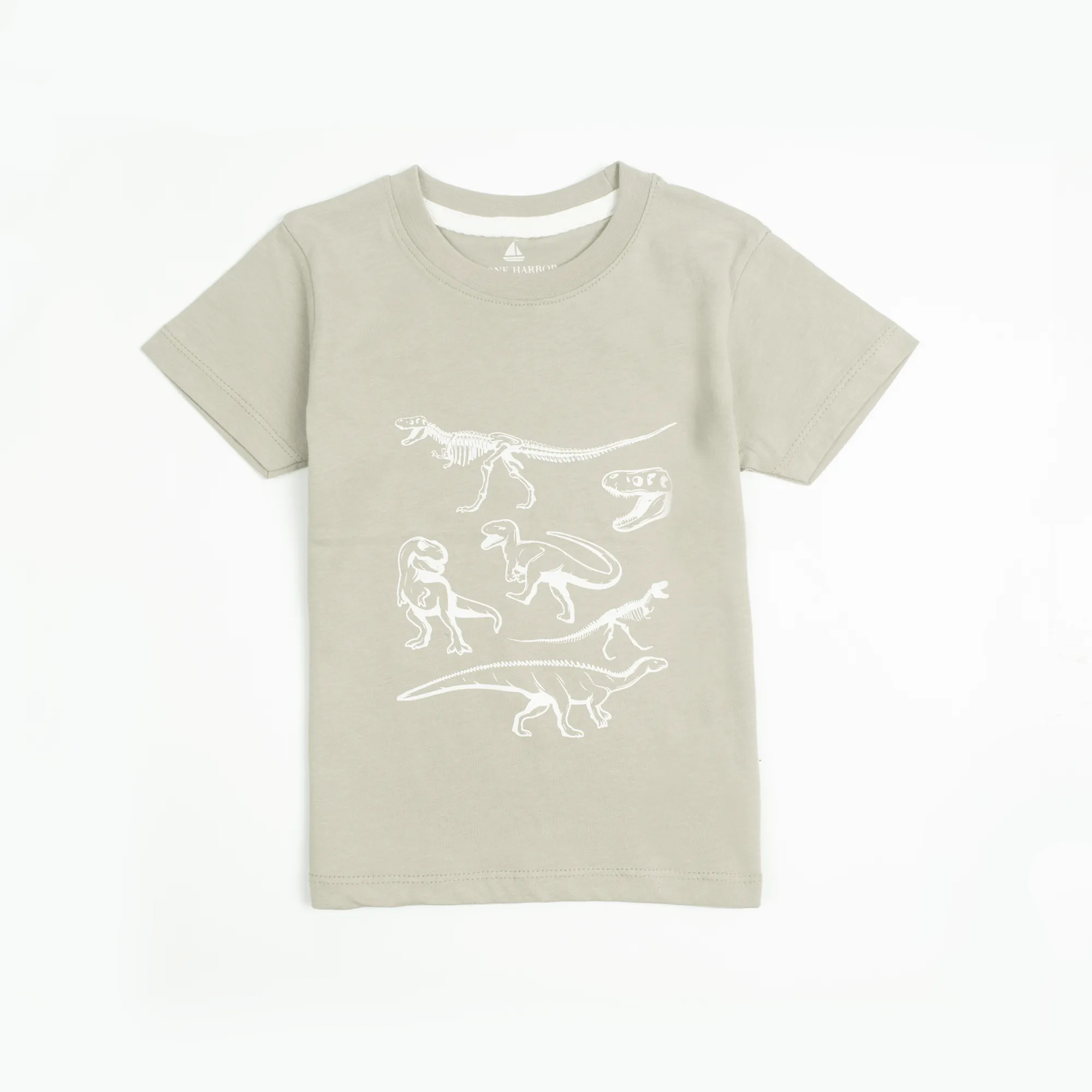 MINI BOY'S DINO PRINTED T-SHIRT