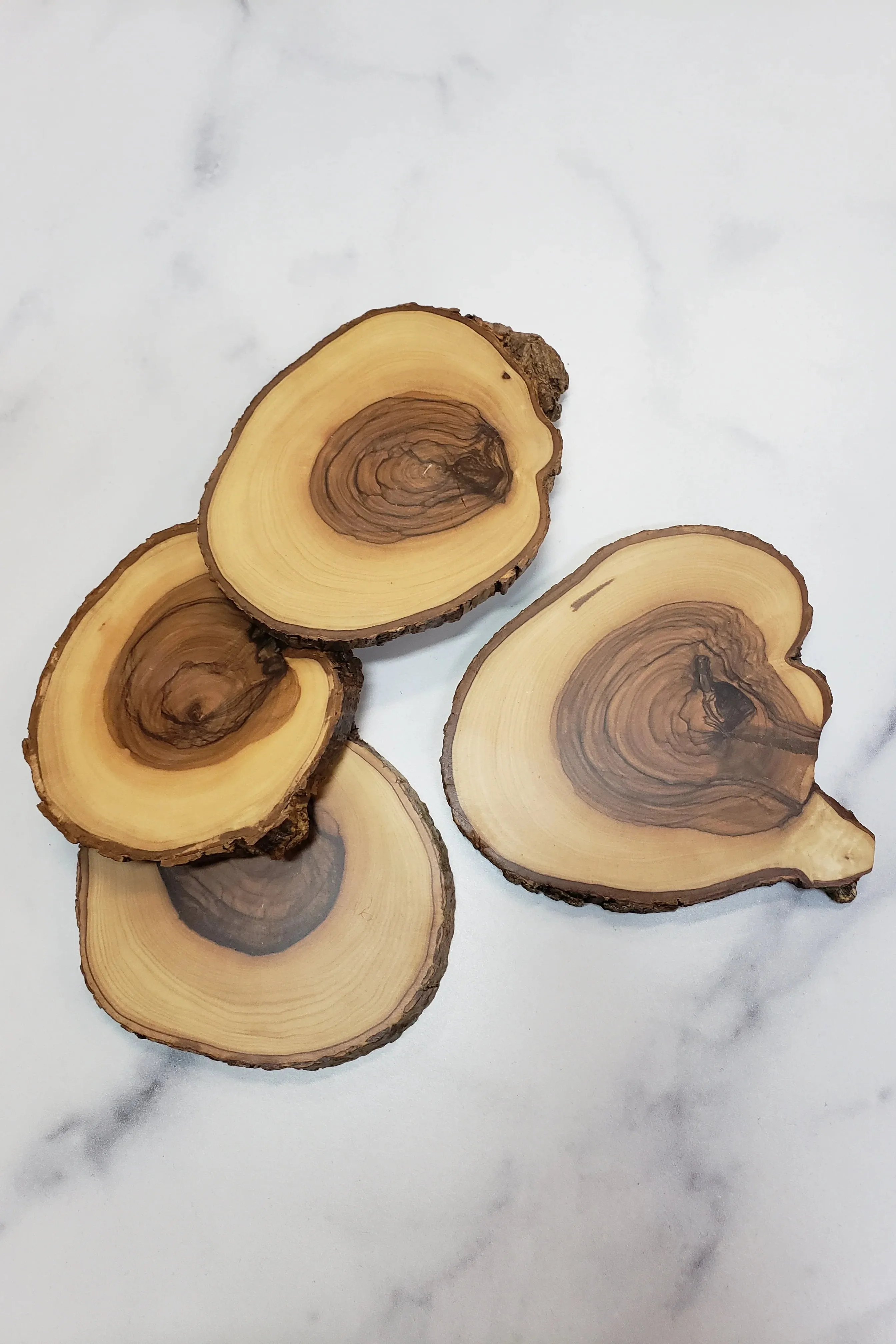 Natural Bark Edge Coasters